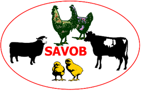savob